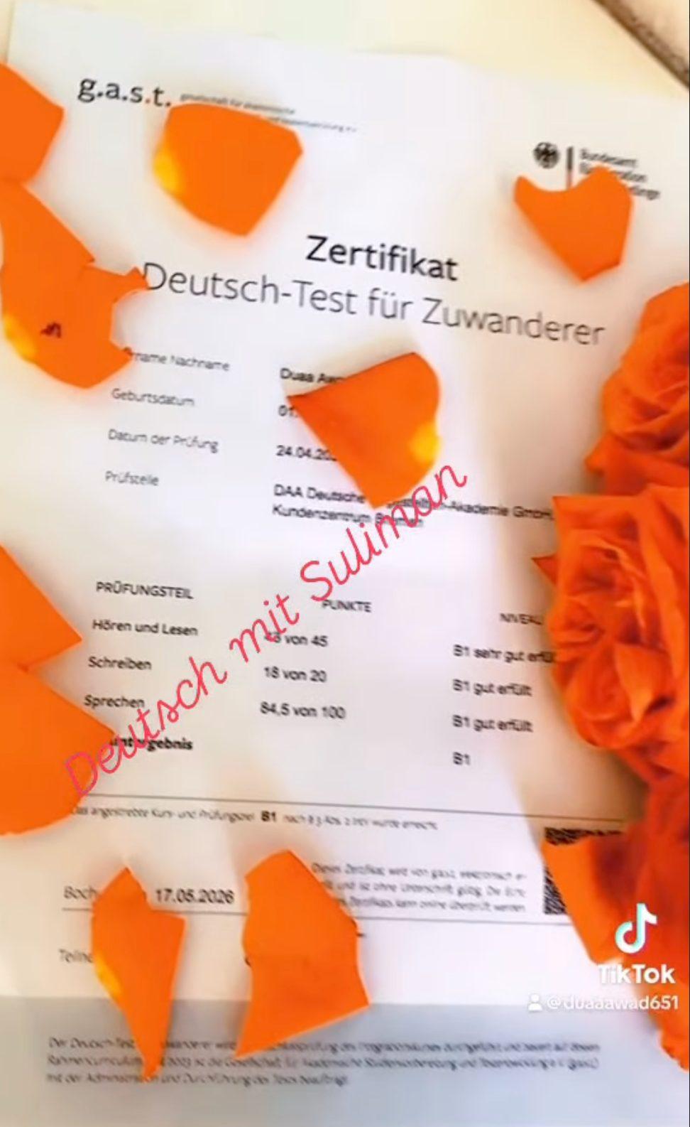 شهادة